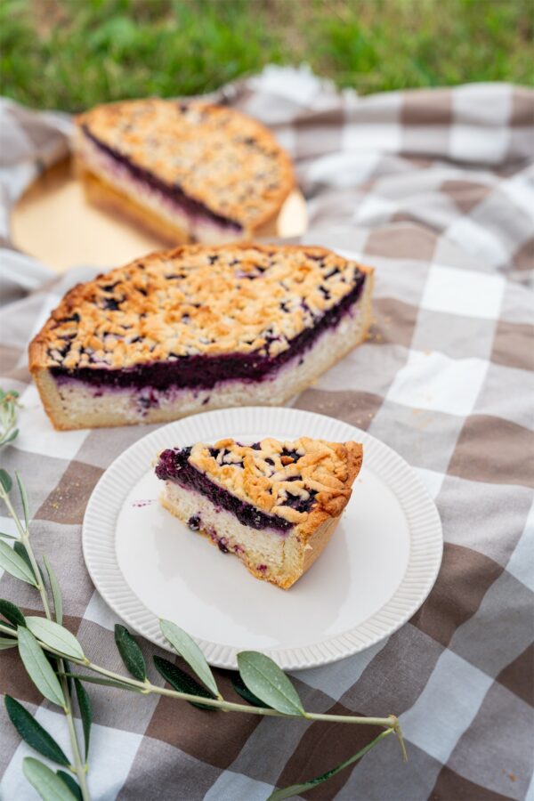 borovničeva_pita (1) Pite