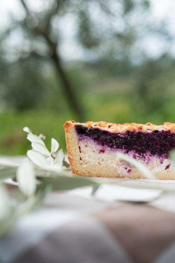 borovničeva_pita (9) Pite