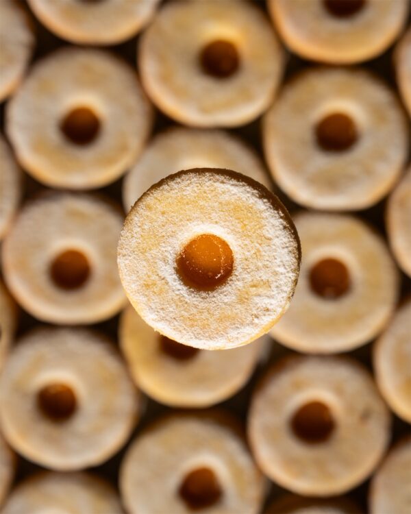 PAKET MEŠANIH PIŠKOTOV