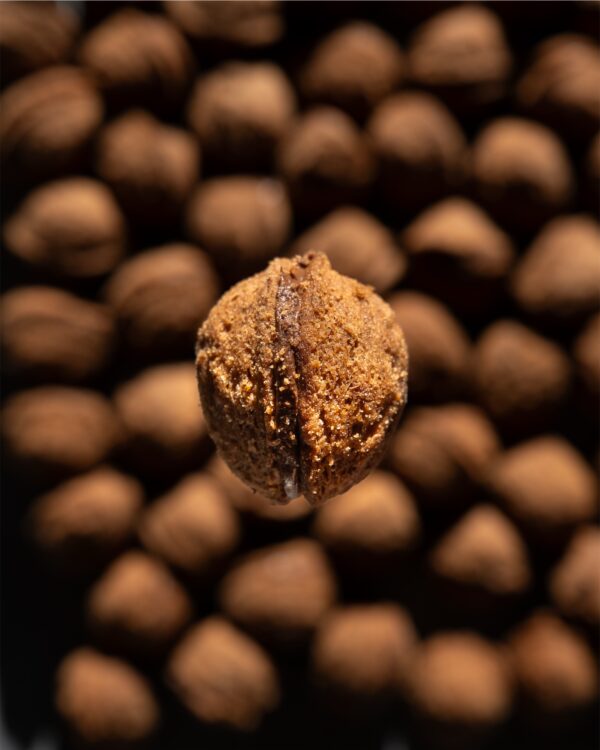 PAKET MEŠANIH PIŠKOTOV